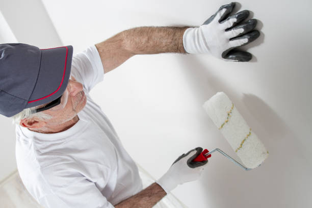 Best Environmental Consulting for Mold Prevention  in Burley, ID