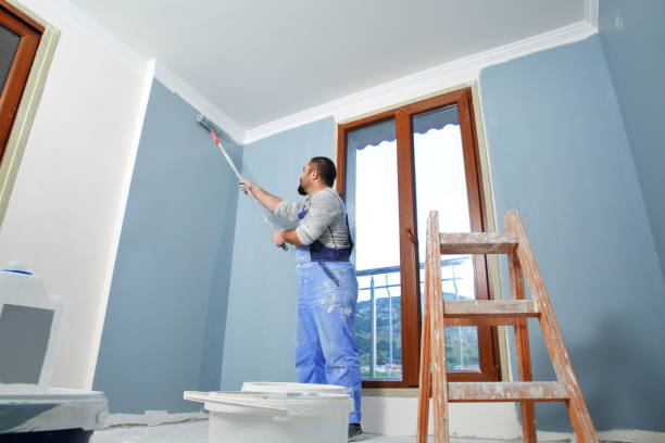Best Post-Construction Mold Inspection  in Burley, ID