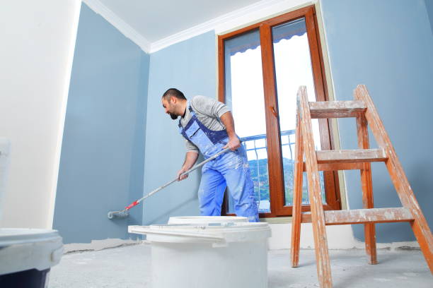 Environmental Consulting for Mold Prevention in Burley, ID