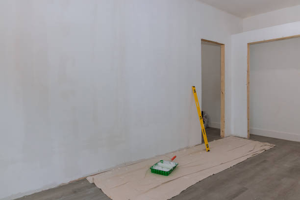 Best Mold-Related Health Consultation  in Burley, ID