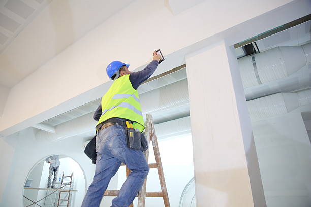 Best Real Estate Mold Inspection  in Burley, ID