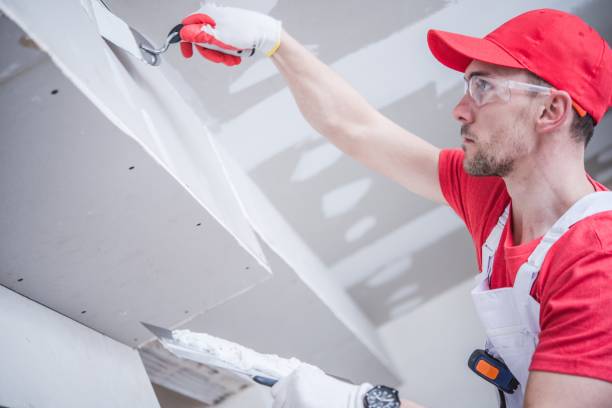 Best Biohazard Mold Removal  in Burley, ID